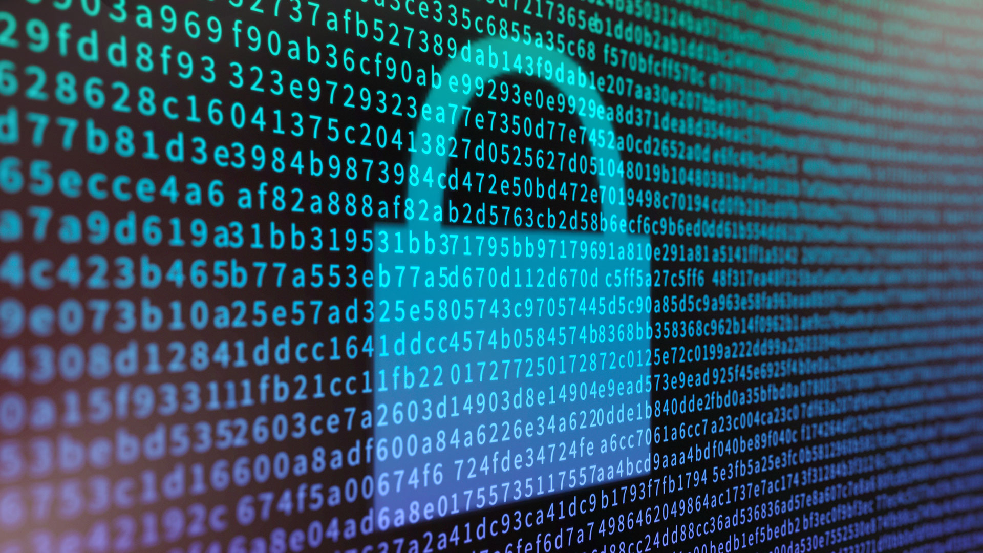 Why data encryption is critical for protecting your data